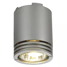 Потолочный светильник Barro 116202 купить с доставкой по России